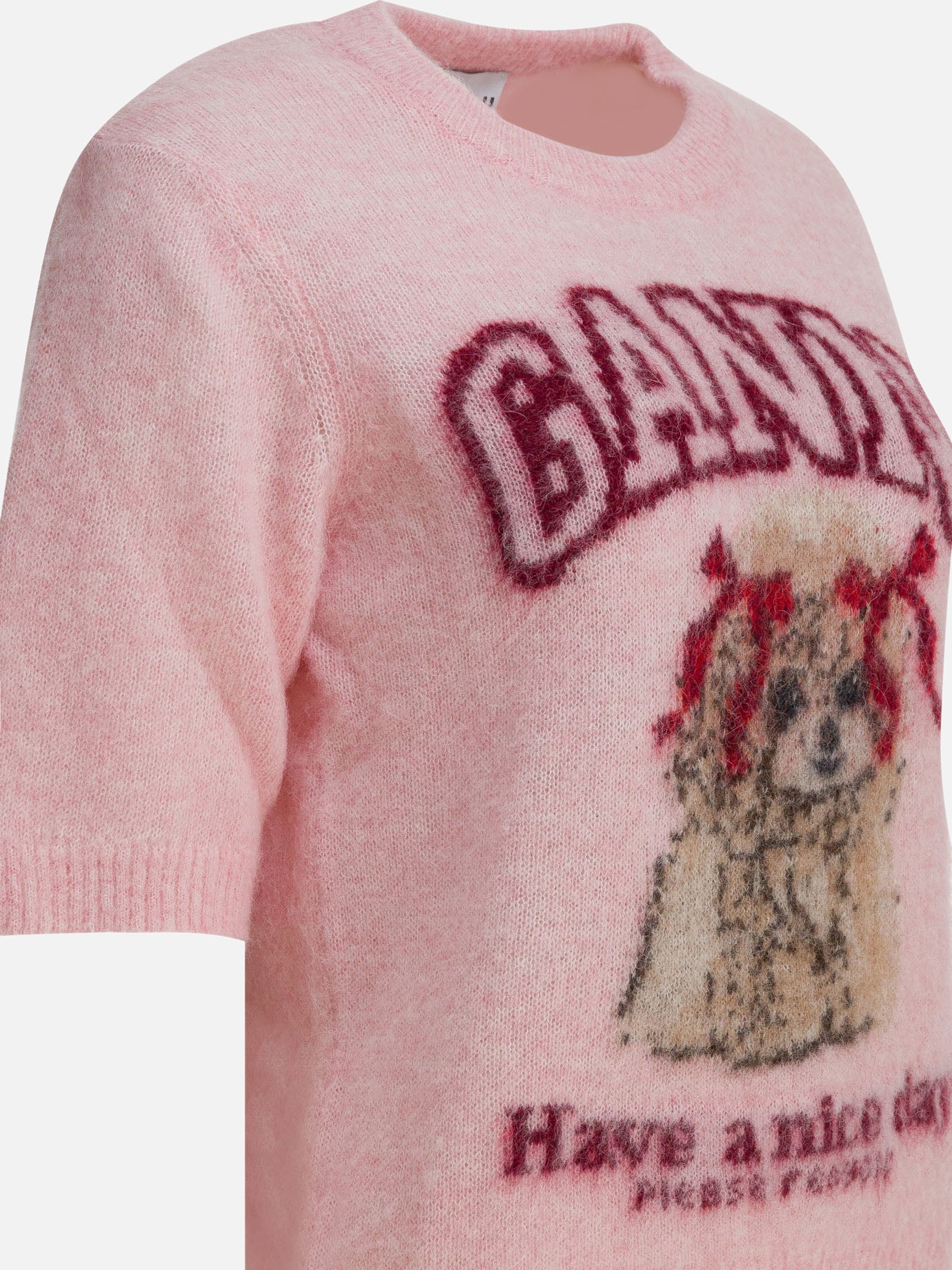 Crewneck sweaters Logo  Pink - Ganni Women | PDP | VIETTI Online Store | thumbnail_4