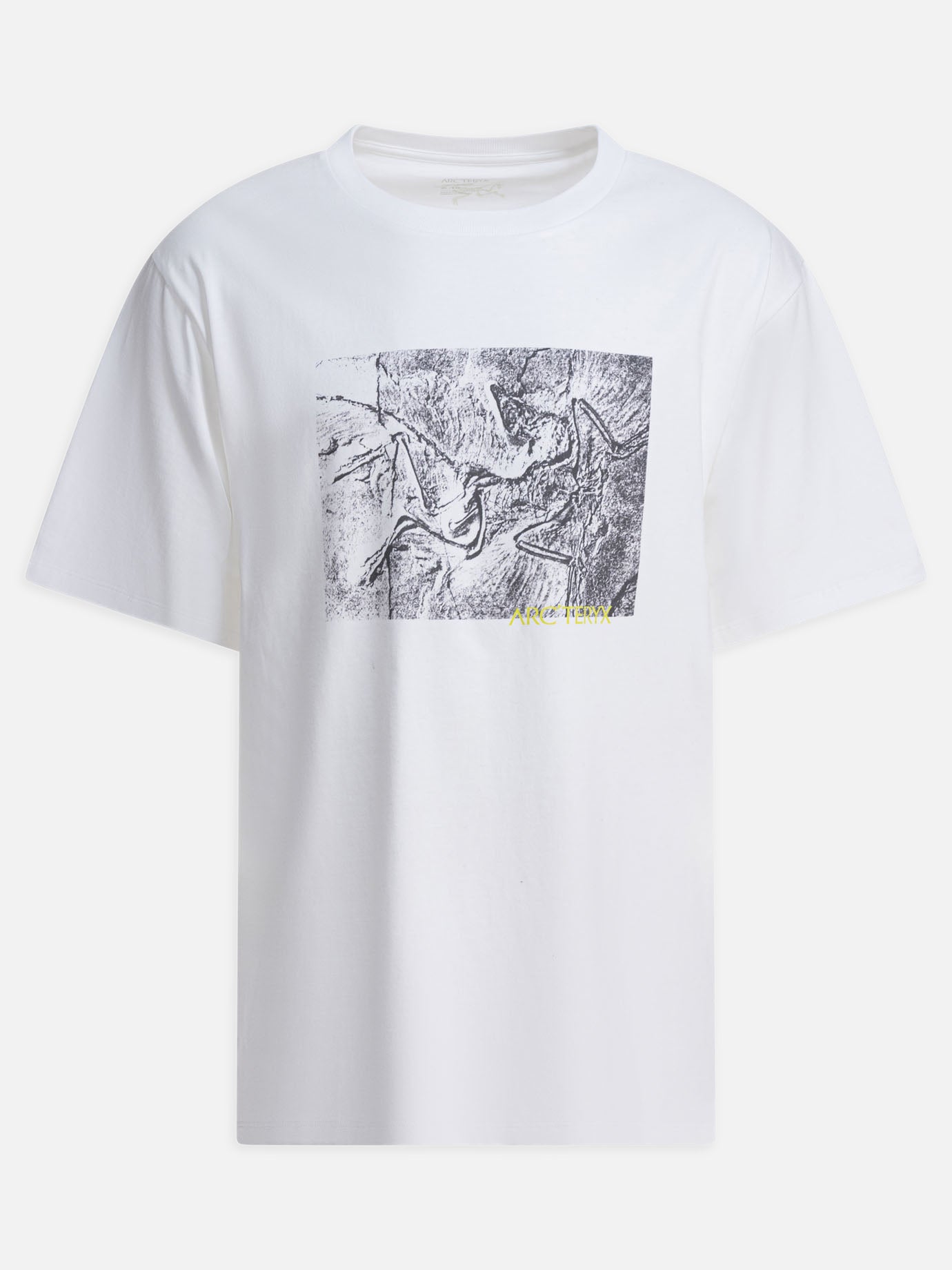 T-shirt girocollo Graphics  Bianco - Arc&#39;teryx Uomo | PDP | VIETTI Online Store | thumbnail