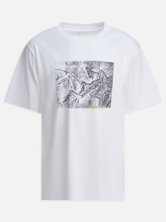 T-shirt girocollo Graphics  Bianco - Arc'teryx Uomo | PLP | VIETTI Online Store 
