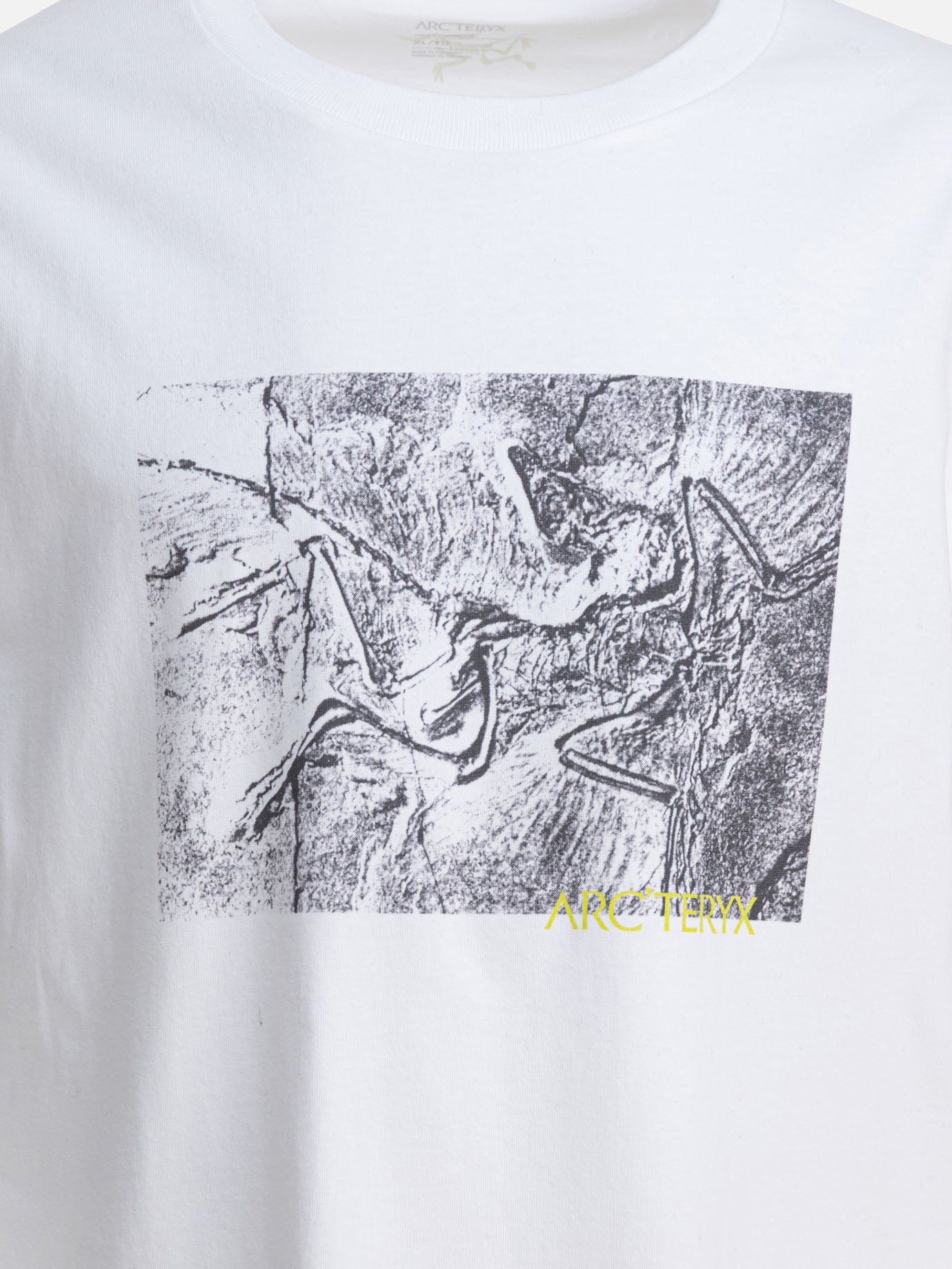 T-shirt girocollo Graphics  Bianco - Arc'teryx Uomo | PDP | VIETTI Online Store | Zoom-Modal_3
