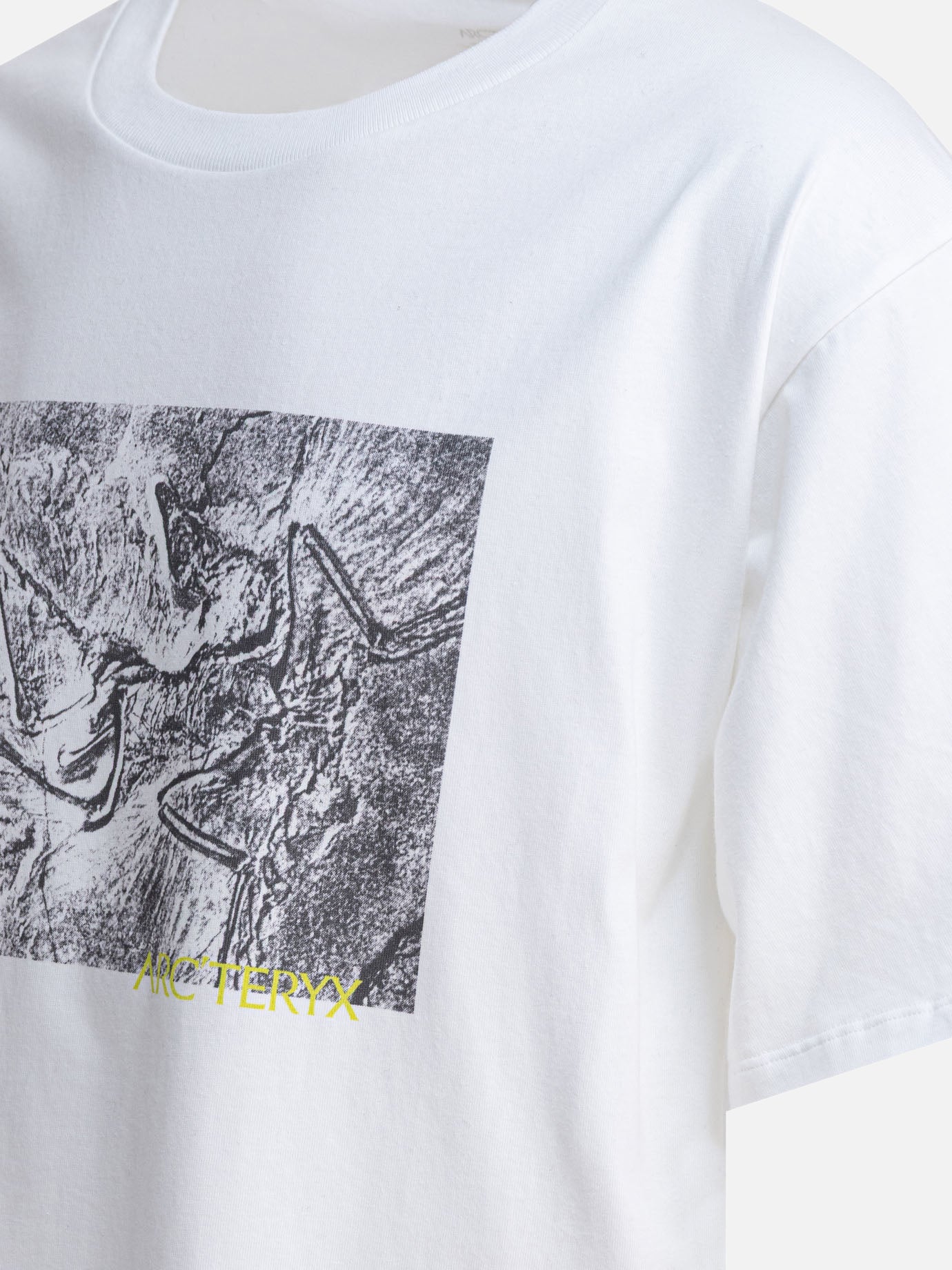 T-shirt girocollo Graphics  Bianco - Arc&#39;teryx Uomo | PDP | VIETTI Online Store | thumbnail_4