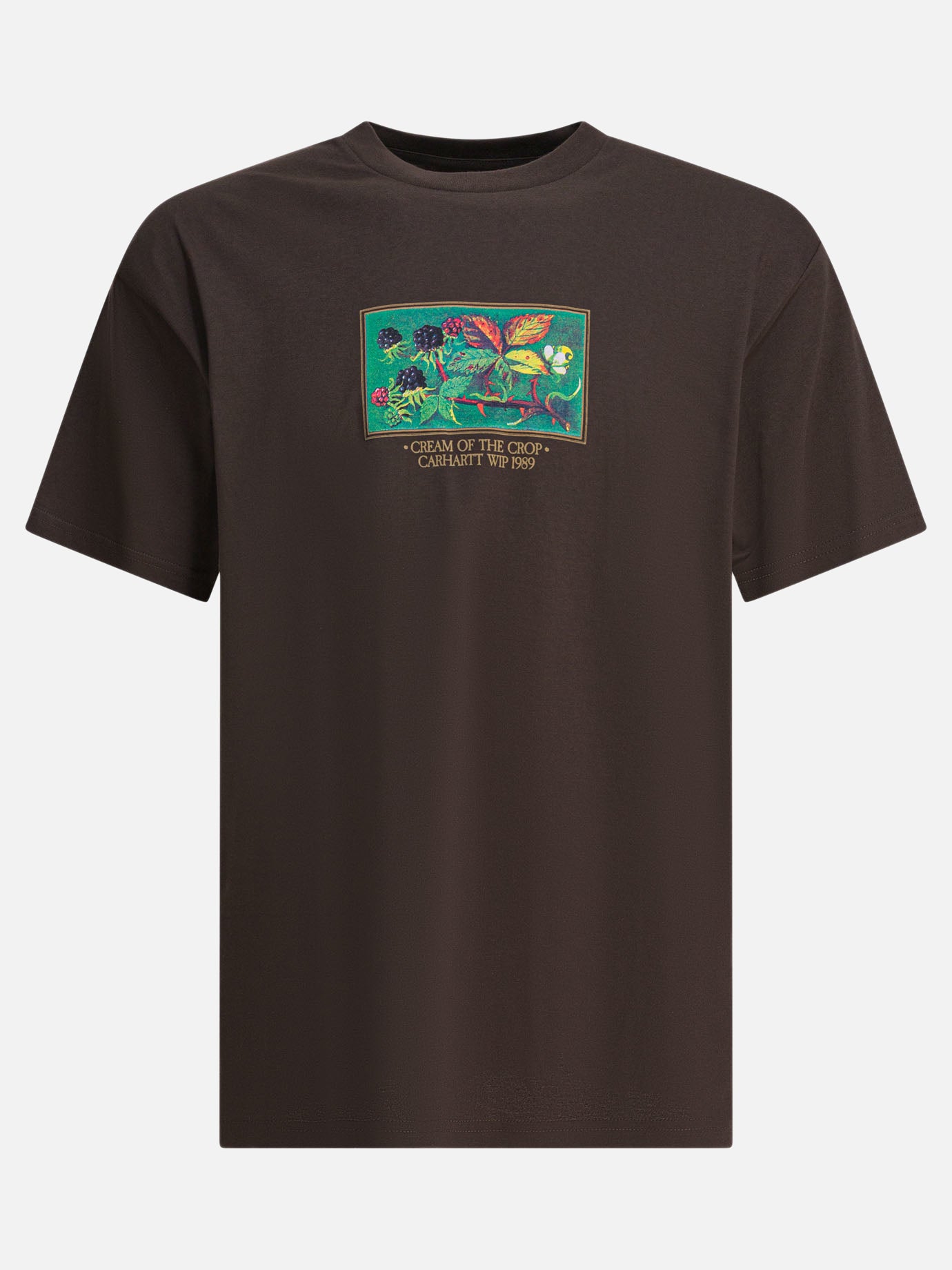 T-shirt girocollo Graphics  Marrone - Carhartt WIP Uomo | PDP | VIETTI Online Store | thumbnail