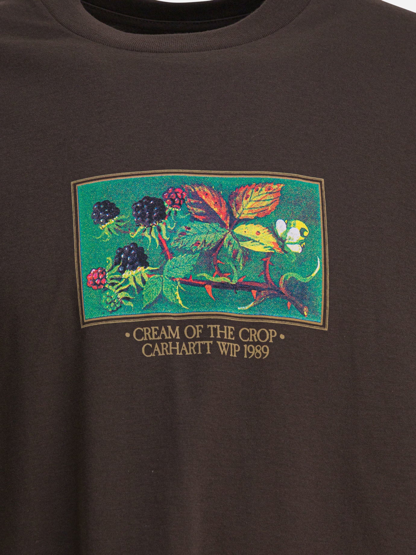 T-shirt girocollo Graphics  Marrone - Carhartt WIP Uomo | PDP | VIETTI Online Store | Zoom-Modal_3
