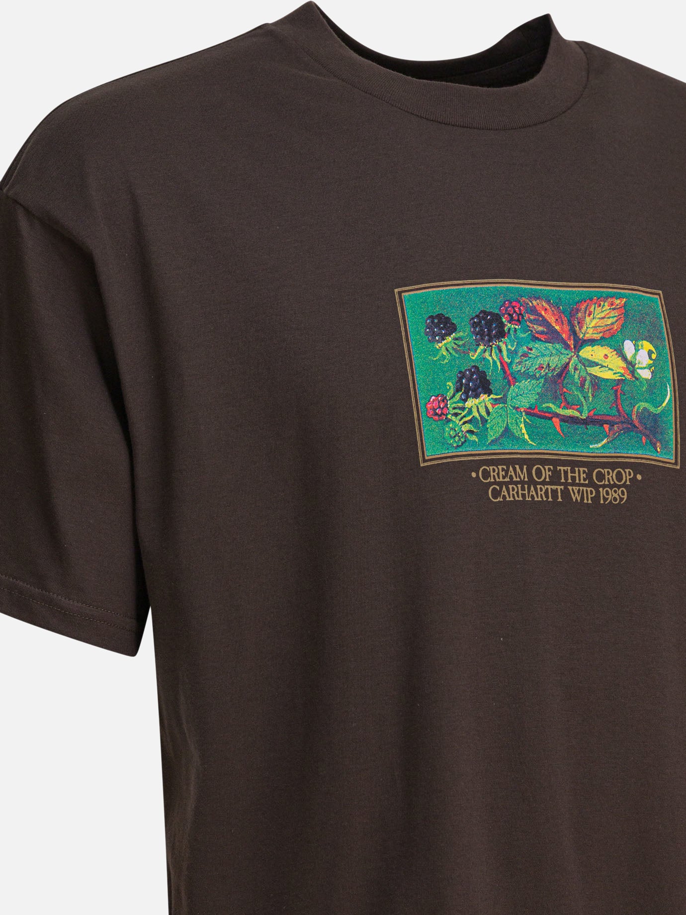 T-shirt girocollo Graphics  Marrone - Carhartt WIP Uomo | PDP | VIETTI Online Store | thumbnail_4