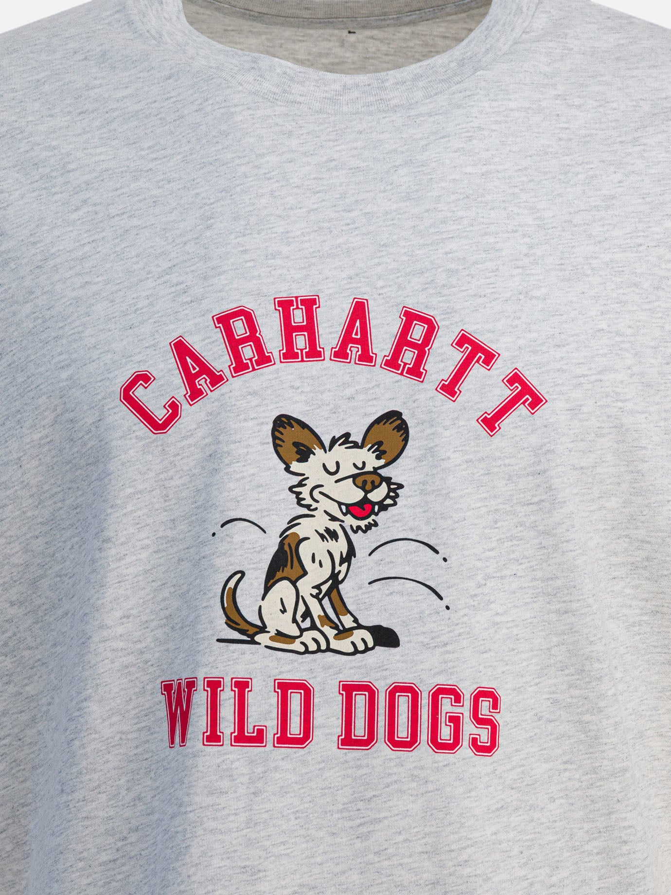 Crewneck t-shirts Graphics  Grey - Carhartt WIP Men | PDP | VIETTI Online Store | Zoom-Modal_3
