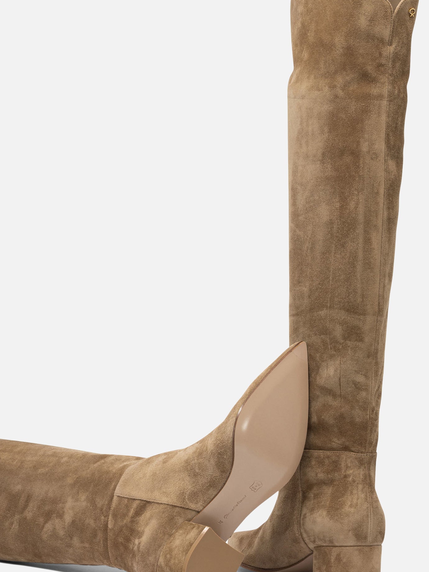 Sopra al ginocchio 100% suede - 100% leather  Beige - Gianvito Rossi Donna | PDP | VIETTI Online Store | Zoom-Modal_5
