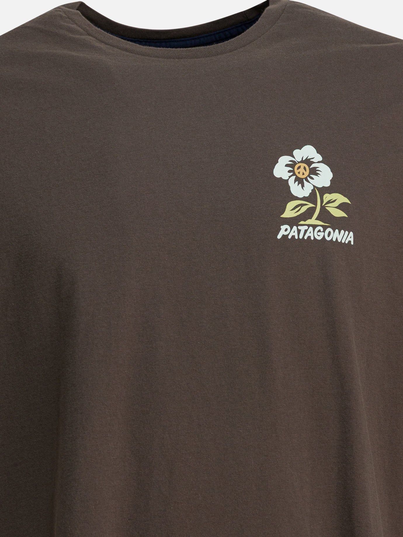 Crewneck t-shirts Graphics  Brown - Patagonia Men | PDP | VIETTI Online Store | thumbnail_3
