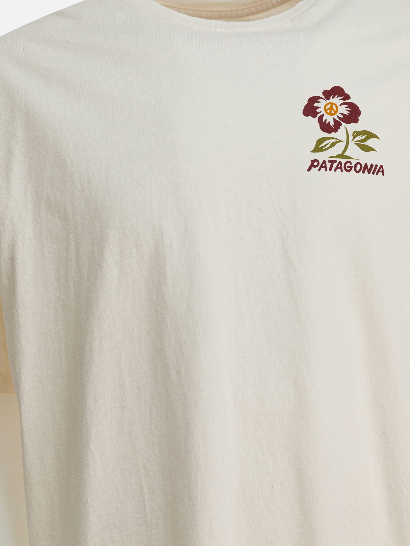 T-shirt girocollo Graphics  Beige - Patagonia Uomo | PDP | VIETTI Online Store | thumbnail_3