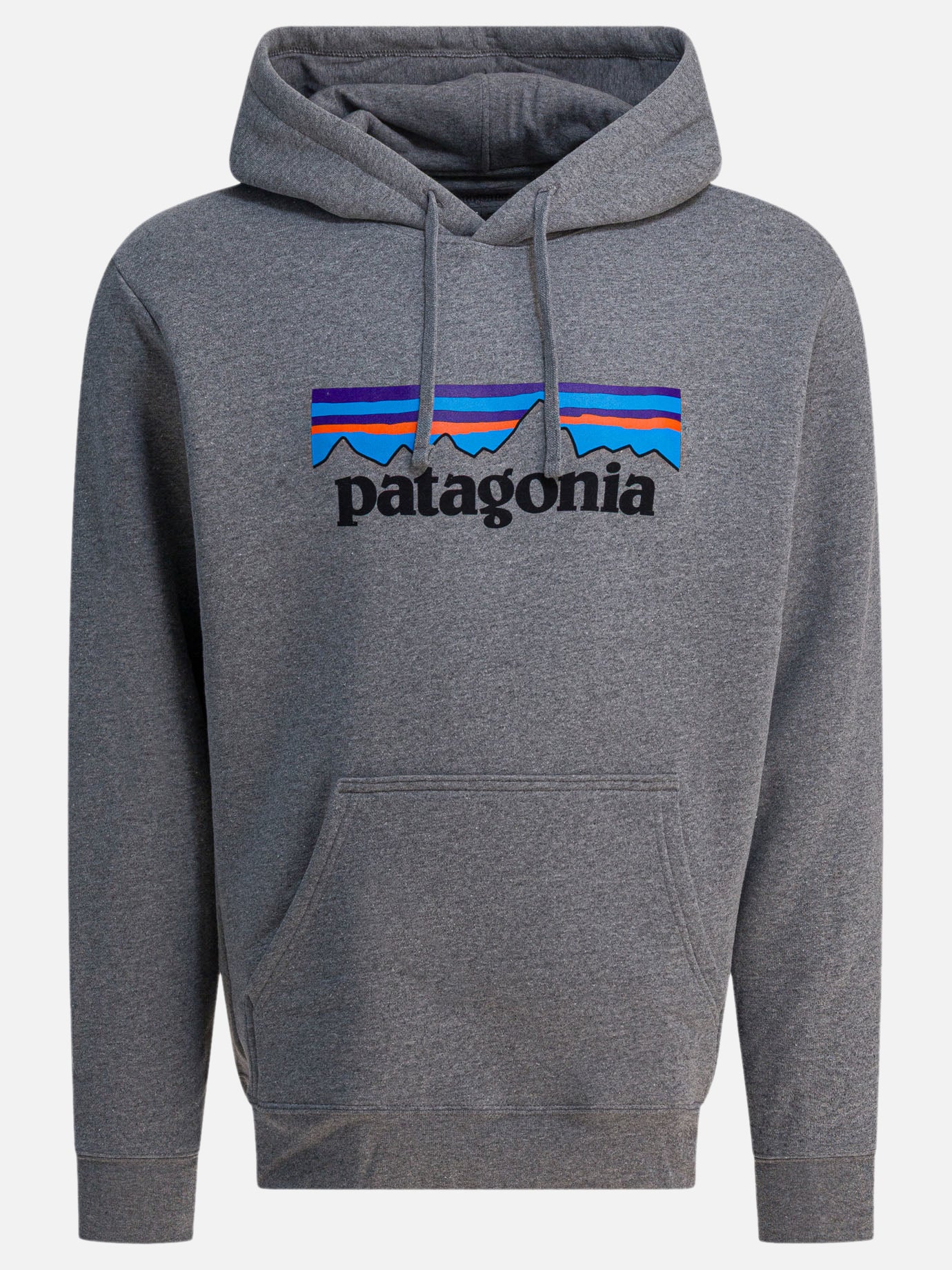 Felpe con cappuccio Logo  Grigio - Patagonia Uomo | PDP | VIETTI Online Store | thumbnail