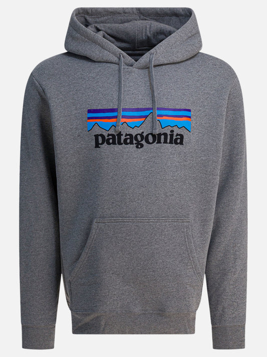 Felpe con cappuccio Logo  Grigio - Patagonia Uomo | PLP | VIETTI Online Store 
