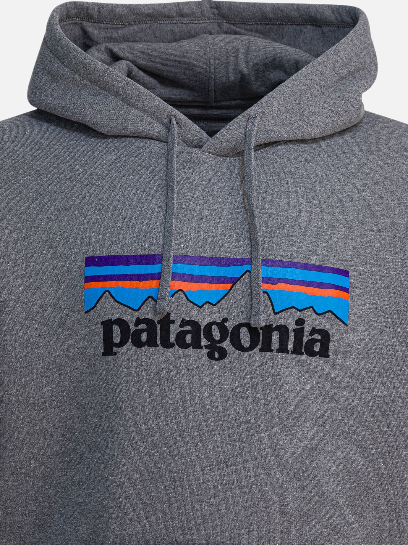 Felpe con cappuccio Logo  Grigio - Patagonia Uomo | PDP | VIETTI Online Store | thumbnail_3